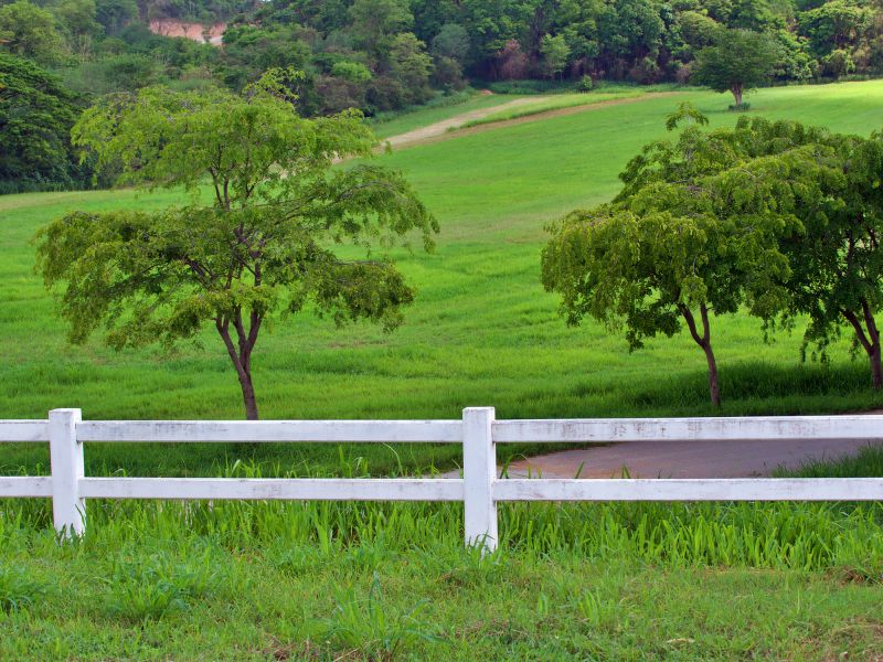Install Cost Effective Fencing